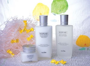 化妆品进口报关全流程指南